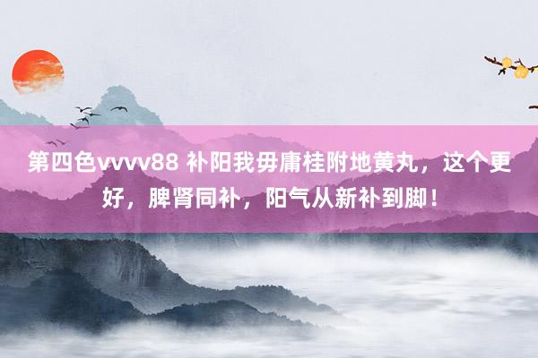 第四色vvvv88 补阳我毋庸桂附地黄丸，这个更好，脾肾同补，阳气从新补到脚！