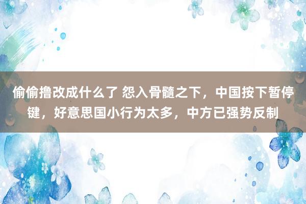 偷偷撸改成什么了 怨入骨髓之下，中国按下暂停键，好意思国小行为太多，中方已强势反制