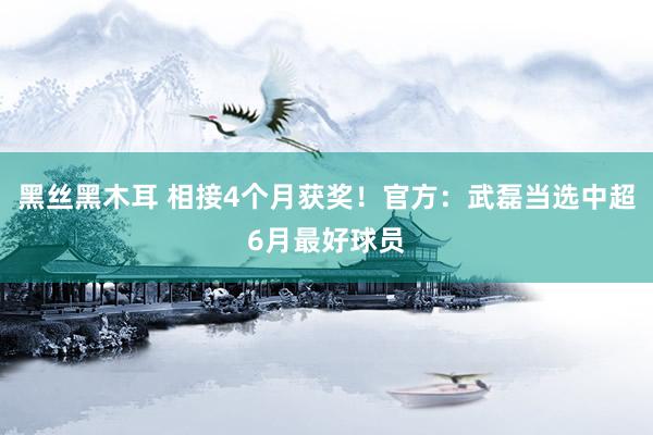 黑丝黑木耳 相接4个月获奖！官方：武磊当选中超6月最好球员