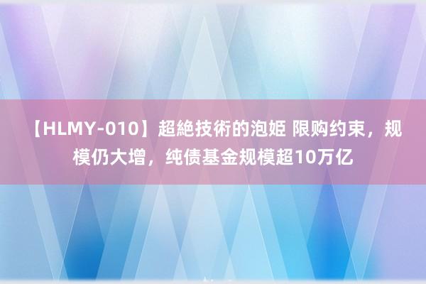 【HLMY-010】超絶技術的泡姫 限购约束，规模仍大增，纯债基金规模超10万亿