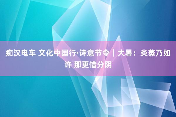 痴汉电车 文化中国行·诗意节令｜大暑：炎蒸乃如许 那更惜分阴