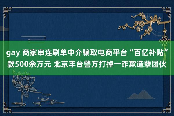 gay 商家串连刷单中介骗取电商平台“百亿补贴”款500余万元 北京丰台警方打掉一诈欺造孽团伙