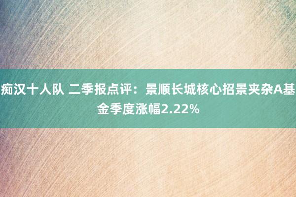 痴汉十人队 二季报点评：景顺长城核心招景夹杂A基金季度涨幅2.22%