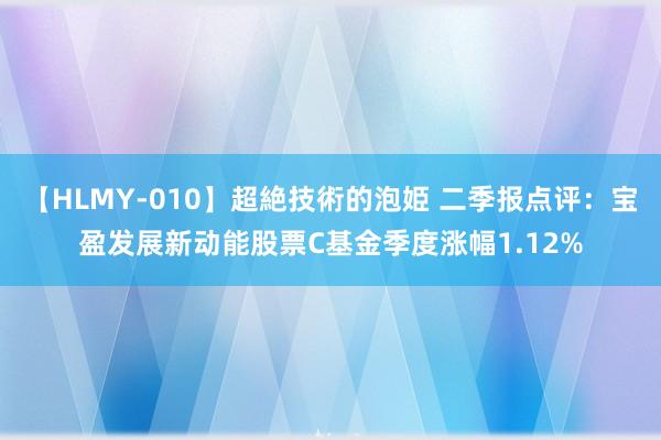 【HLMY-010】超絶技術的泡姫 二季报点评：宝盈发展新动能股票C基金季度涨幅1.12%