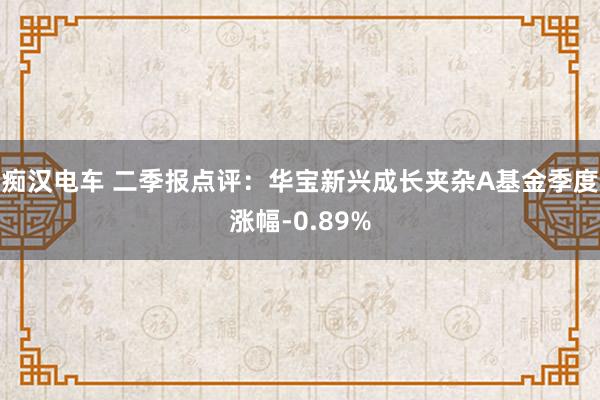 痴汉电车 二季报点评：华宝新兴成长夹杂A基金季度涨幅-0.89%