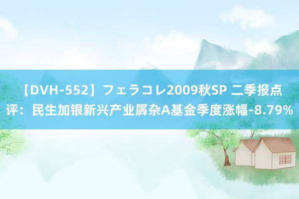 【DVH-552】フェラコレ2009秋SP 二季报点评：民生加银新兴产业羼杂A基金季度涨幅-8.79%