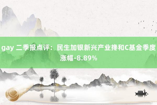 gay 二季报点评：民生加银新兴产业搀和C基金季度涨幅-8.89%