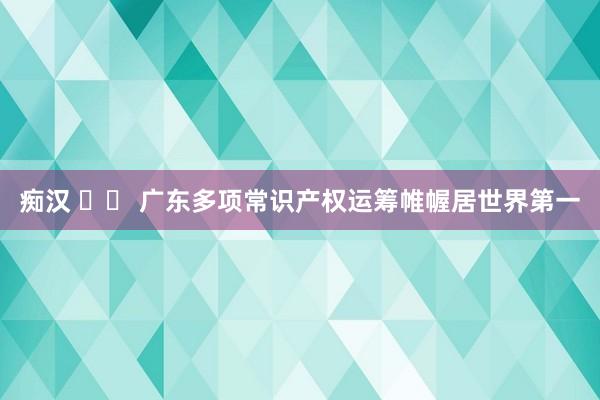 痴汉 		 广东多项常识产权运筹帷幄居世界第一