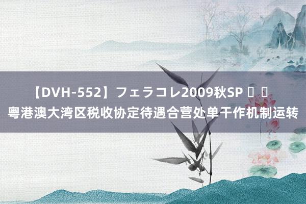 【DVH-552】フェラコレ2009秋SP 		 粤港澳大湾区税收协定待遇合营处单干作机制运转