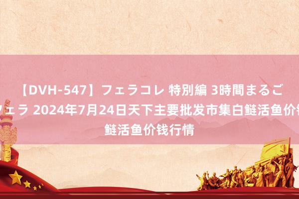 【DVH-547】フェラコレ 特別編 3時間まるごとWフェラ 2024年7月24日天下主要批发市集白鲢活鱼价钱行情