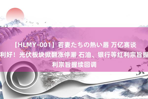 【HLMY-001】若妻たちの熱い唇 万亿赛谈突发大利好！光伏板块掀翻涨停潮 石油、银行等红利宗旨握续回调