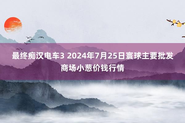 最终痴汉电车3 2024年7月25日寰球主要批发商场小葱价钱行情