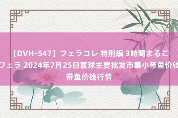 【DVH-547】フェラコレ 特別編 3時間まるごとWフェラ 2024年7月25日寰球主要批发市集小带鱼价钱行情