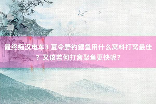 最终痴汉电车3 夏令野钓鲤鱼用什么窝料打窝最佳？又该若何打窝聚鱼更快呢？