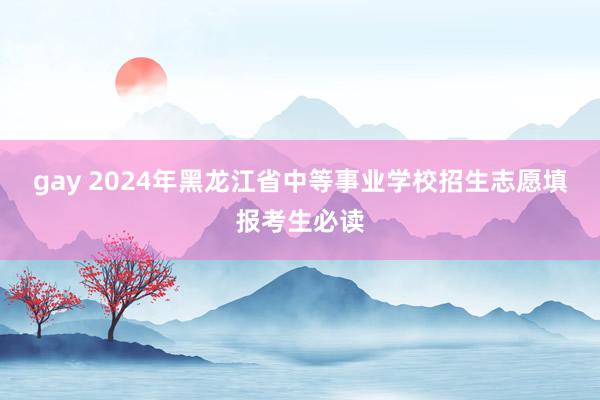 gay 2024年黑龙江省中等事业学校招生志愿填报考生必读