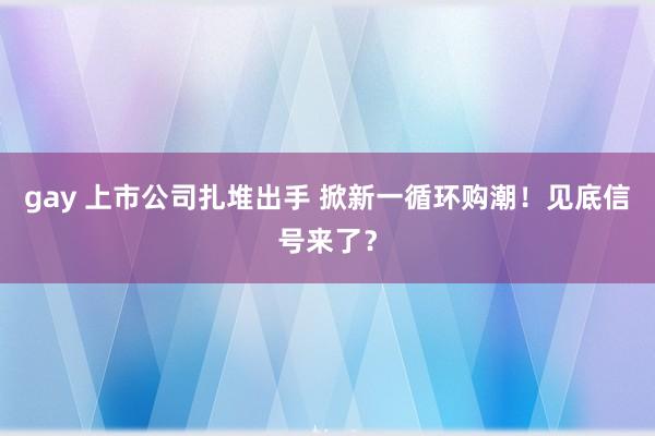 gay 上市公司扎堆出手 掀新一循环购潮！见底信号来了？