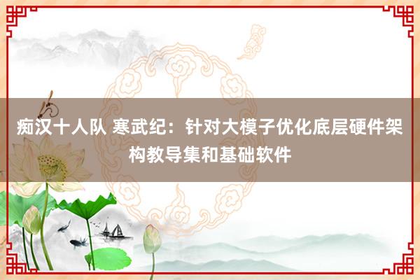 痴汉十人队 寒武纪：针对大模子优化底层硬件架构教导集和基础软件