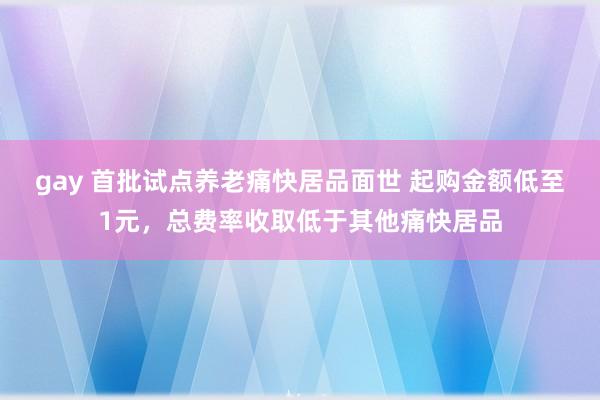 gay 首批试点养老痛快居品面世 起购金额低至1元，总费率收取低于其他痛快居品