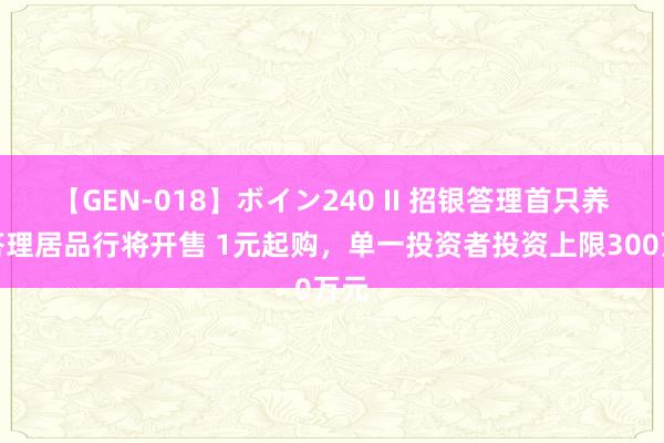 【GEN-018】ボイン240 II 招银答理首只养老答理居品行将开售 1元起购，单一投资者投资上限300万元