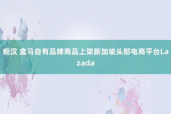 痴汉 盒马自有品牌商品上架新加坡头部电商平台Lazada