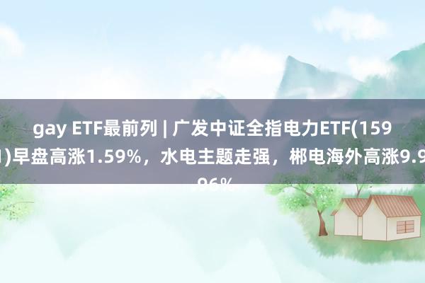 gay ETF最前列 | 广发中证全指电力ETF(159611)早盘高涨1.59%，水电主题走强，郴电海外高涨9.96%