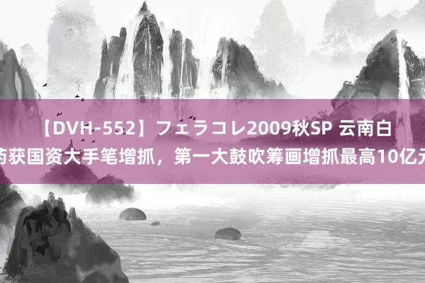 【DVH-552】フェラコレ2009秋SP 云南白药获国资大手笔增抓，第一大鼓吹筹画增抓最高10亿元