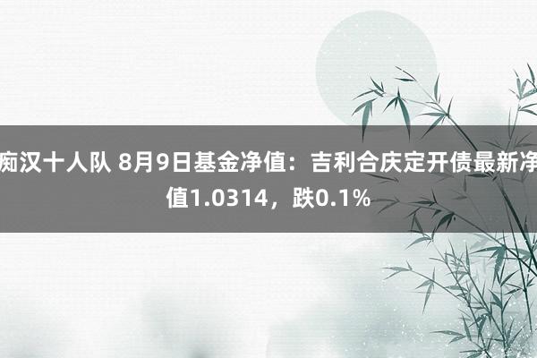 痴汉十人队 8月9日基金净值：吉利合庆定开债最新净值1.0314，跌0.1%