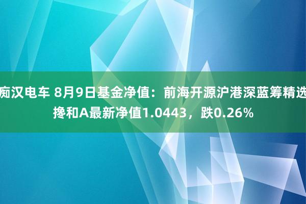 痴汉电车 8月9日基金净值：前海开源沪港深蓝筹精选搀和A最新净值1.0443，跌0.26%