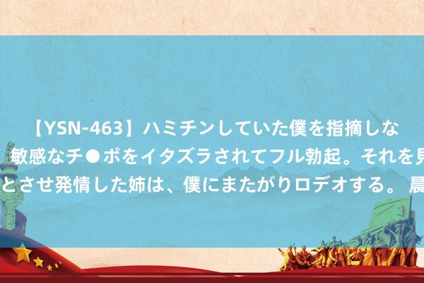 【YSN-463】ハミチンしていた僕を指摘しながらも含み笑いを浮かべ、敏感なチ●ポをイタズラされてフル勃起。それを見て目をトロ～ンとさせ発情した姉は、僕にまたがりロデオする。 晨鸣纸业(01812)附属公司晨鸣财务自发清盘