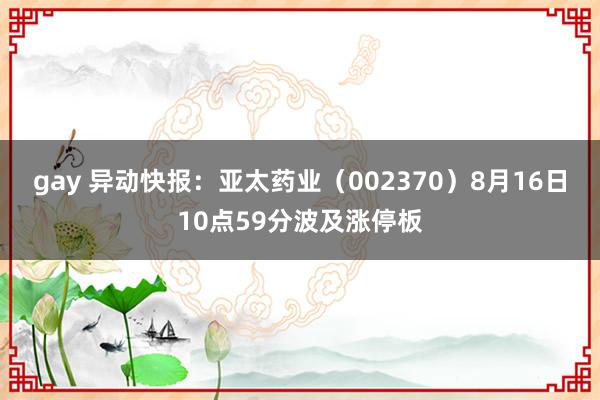 gay 异动快报：亚太药业（002370）8月16日10点59分波及涨停板