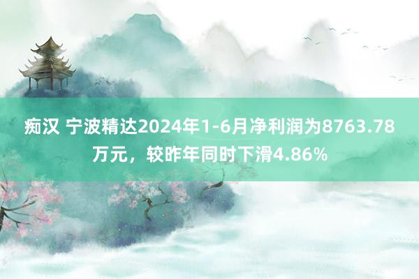 痴汉 宁波精达2024年1-6月净利润为8763.78万元，较昨年同时下滑4.86%