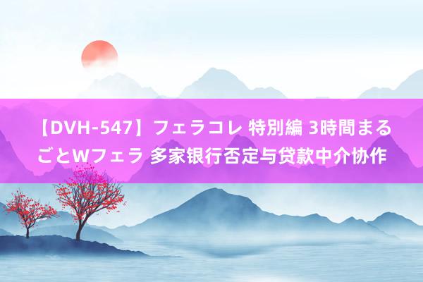 【DVH-547】フェラコレ 特別編 3時間まるごとWフェラ 多家银行否定与贷款中介协作