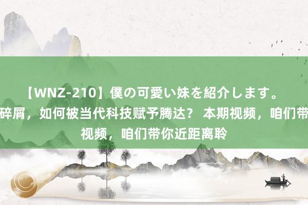 【WNZ-210】僕の可愛い妹を紹介します。 古蜀文静的碎屑，如何被当代科技赋予腾达？ 本期视频，咱们带你近距离聆