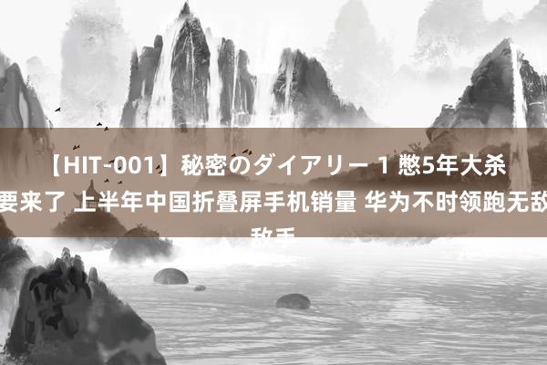 【HIT-001】秘密のダイアリー 1 憋5年大杀器要来了 上半年中国折叠屏手机销量 华为不时领跑无敌手