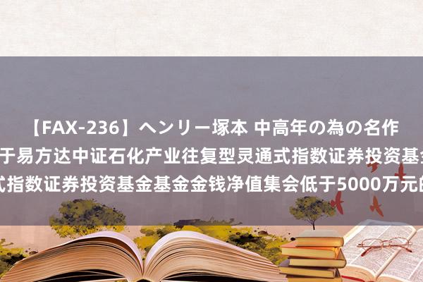 【FAX-236】ヘンリー塚本 中高年の為の名作裏ビデオ集 石化ETF: 对于易方达中证石化产业往复型灵通式指数证券投资基金基金金钱净值集会低于5000万元的指示性公告