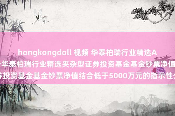 hongkongdoll 视频 华泰柏瑞行业精选A，华泰柏瑞行业精选C: 对于华泰柏瑞行业精选夹杂型证券投资基金基金钞票净值结合低于5000万元的指示性公告