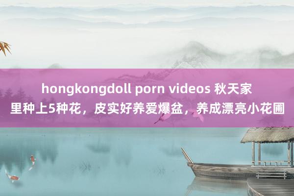 hongkongdoll porn videos 秋天家里种上5种花，皮实好养爱爆盆，养成漂亮小花圃