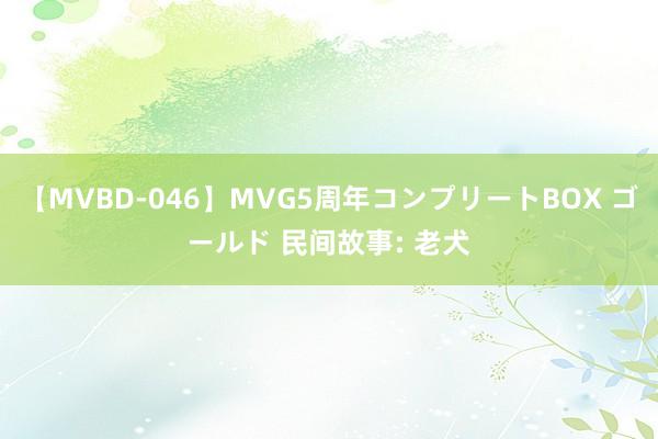 【MVBD-046】MVG5周年コンプリートBOX ゴールド 民间故事: 老犬