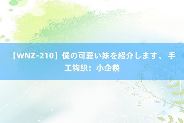 【WNZ-210】僕の可愛い妹を紹介します。 手工钩织：小企鹅