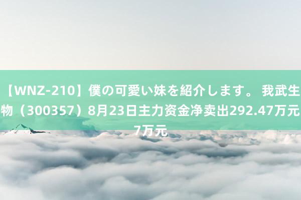 【WNZ-210】僕の可愛い妹を紹介します。 我武生物（300357）8月23日主力资金净卖出292.47万元