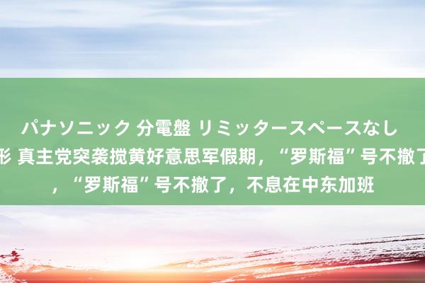 パナソニック 分電盤 リミッタースペースなし 露出・半埋込両用形 真主党突袭搅黄好意思军假期，“罗斯福”号不撤了，不息在中东加班