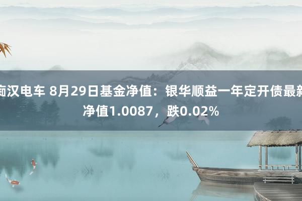 痴汉电车 8月29日基金净值：银华顺益一年定开债最新净值1.0087，跌0.02%