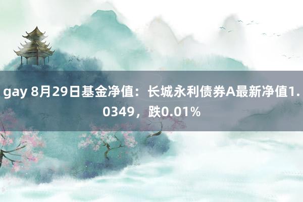 gay 8月29日基金净值：长城永利债券A最新净值1.0349，跌0.01%