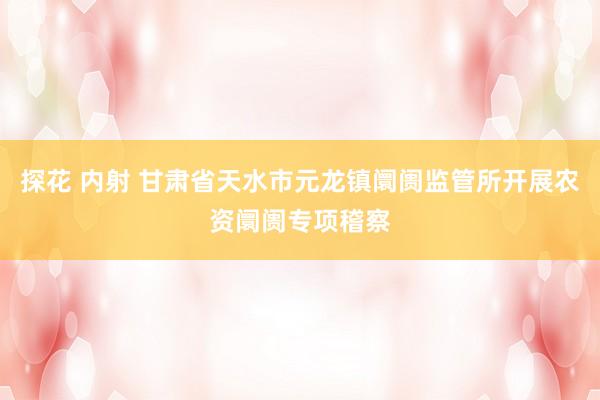 探花 内射 甘肃省天水市元龙镇阛阓监管所开展农资阛阓专项稽察