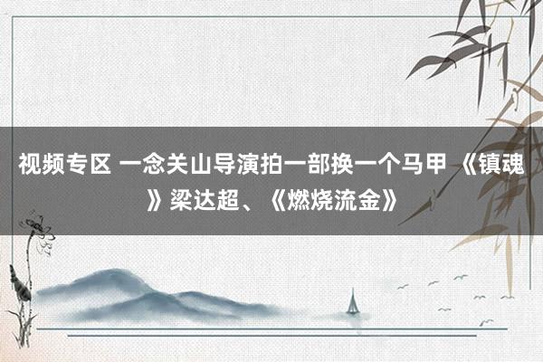 视频专区 一念关山导演拍一部换一个马甲 《镇魂》梁达超、《燃烧流金》