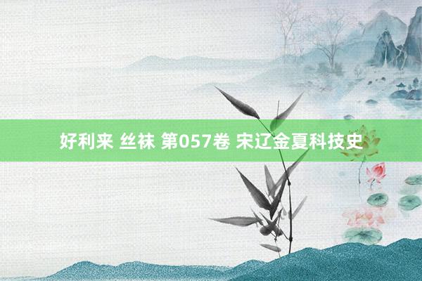 好利来 丝袜 第057卷 宋辽金夏科技史