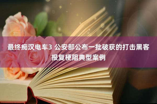 最终痴汉电车3 公安部公布一批破获的打击黑客报复梗阻典型案例