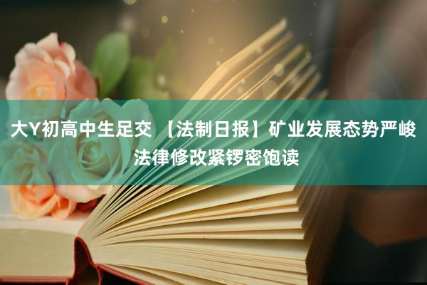 大Y初高中生足交 【法制日报】矿业发展态势严峻 法律修改紧锣密饱读