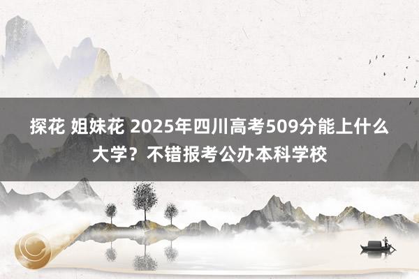 探花 姐妹花 2025年四川高考509分能上什么大学？不错报考公办本科学校