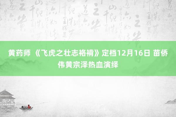 黄药师 《飞虎之壮志袼褙》定档12月16日 苗侨伟黄宗泽热血演绎